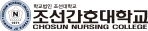 조선간호대학교
